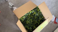 Fake plant wall in a box