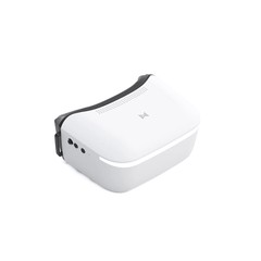 FPV goggles