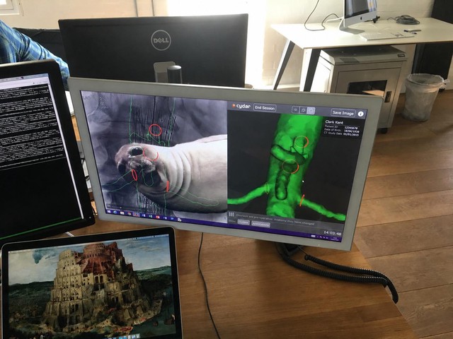 The computer vision algorithm was so effective, a squirrel was not enough to prevent it resolving the overlay position so we had to upgrade to a seal for reliable integration testing!
