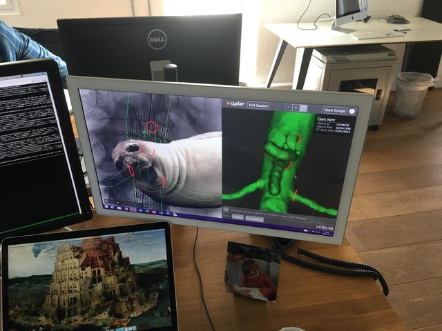 The computer vision algorithm was so effective, a squirrel was not enough to prevent it resolving the overlay position so we had to upgrade to a seal for reliable integration testing!