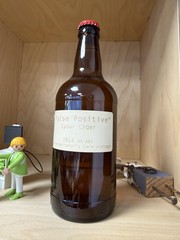 False positive. The last remaining bottle of Cydar Cider! It's now 12 years old. I dare not drink it.