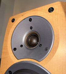 Sony speaker conical profile